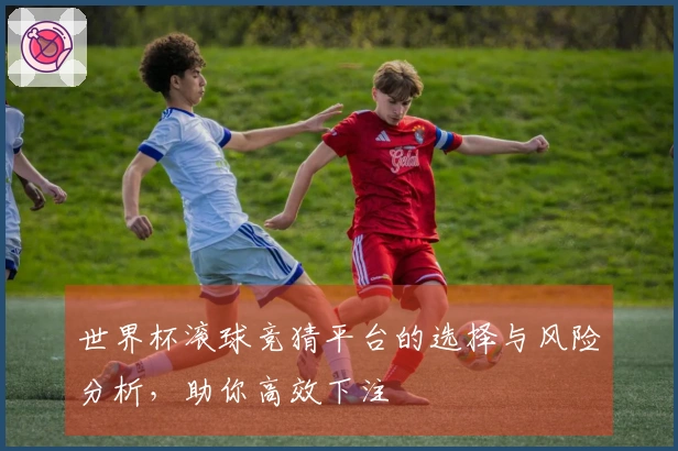 世界杯滚球竞猜平台的选择与风险分析，助你高效下注