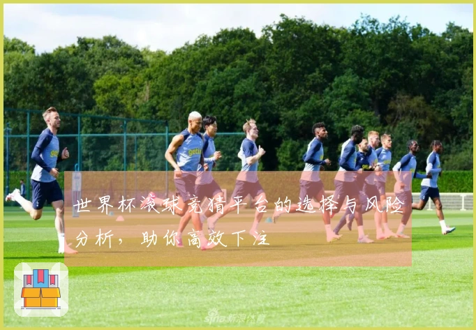 世界杯滚球竞猜平台的选择与风险分析，助你高效下注