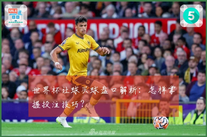 世界杯让球买球盘口解析：怎样掌握投注技巧？